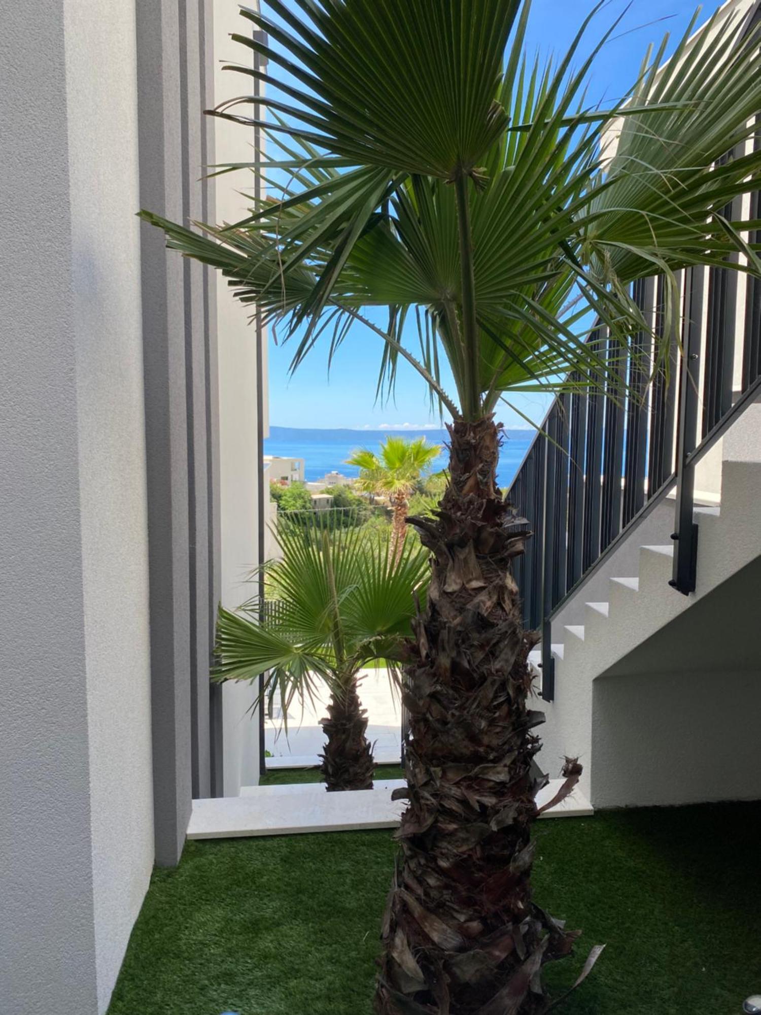 Villa 5 Makarska Bagian luar foto
