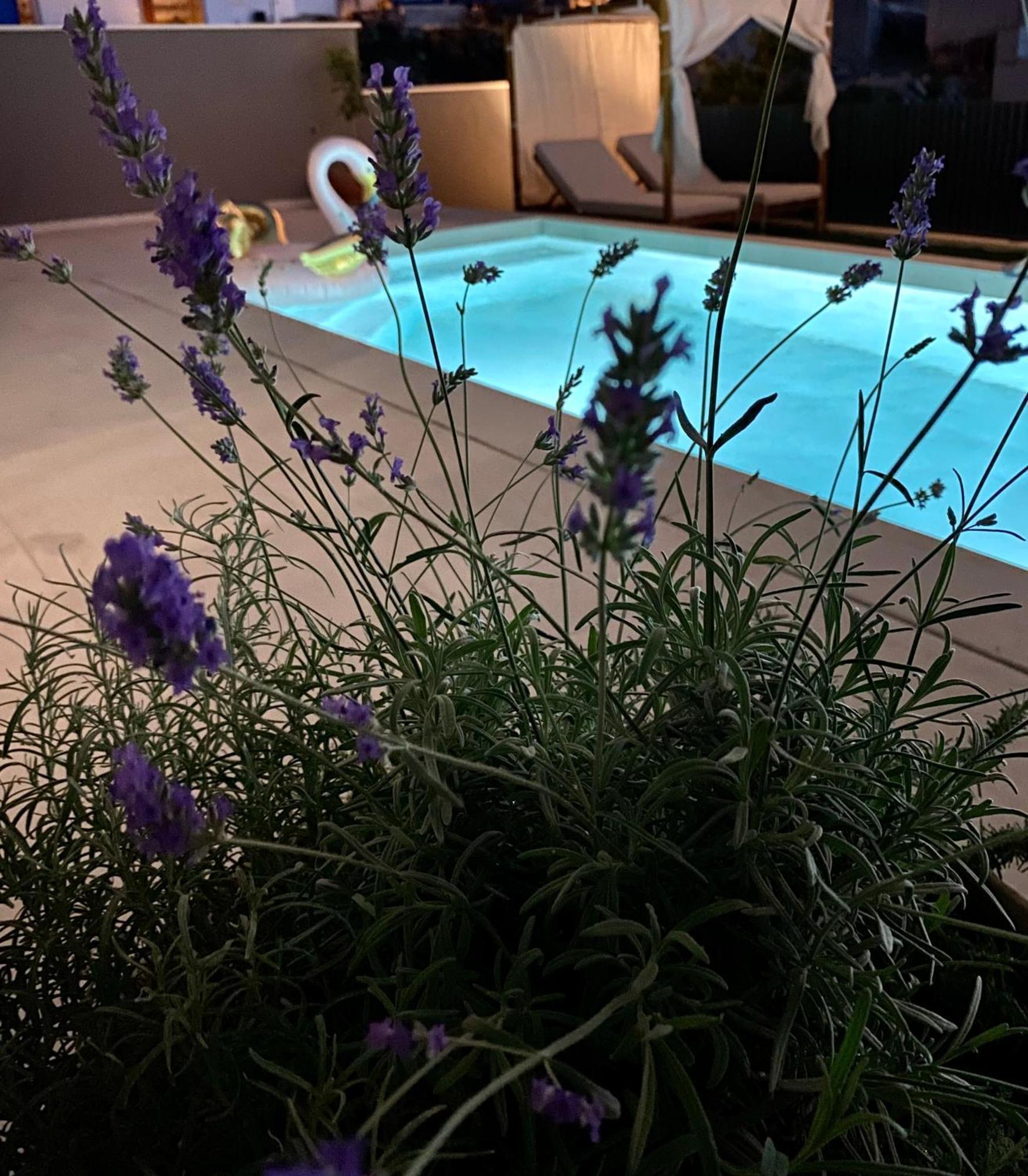 Villa 5 Makarska Bagian luar foto
